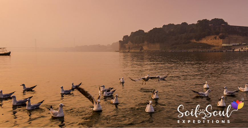 prayagraj-kumbh-mela-2025