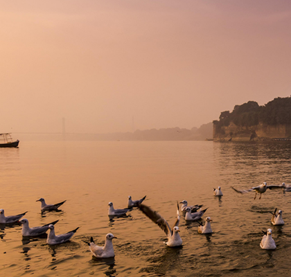 prayagraj-kumbh-mela-2025