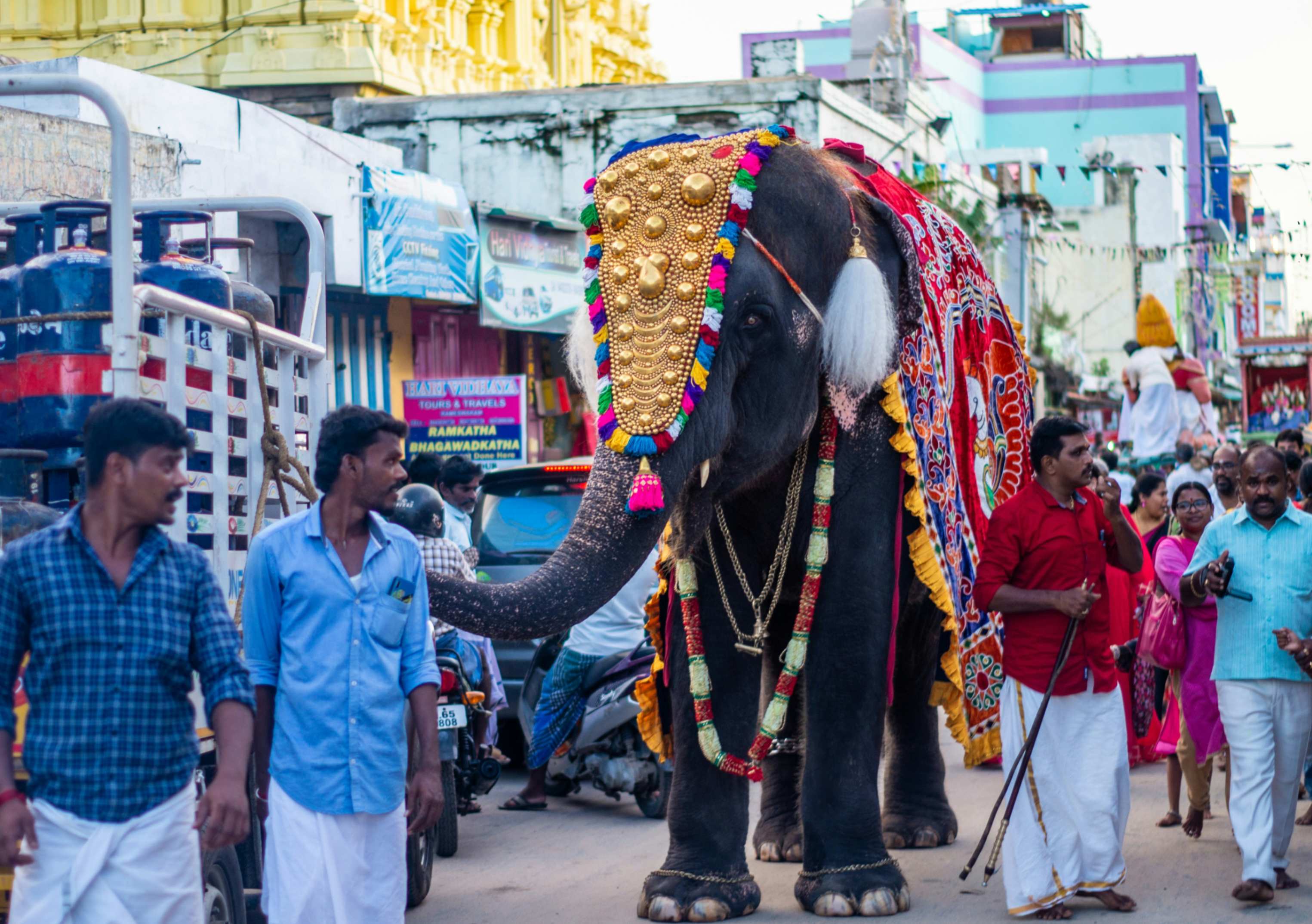 rameswaram-the-sacred-shoreline-7
