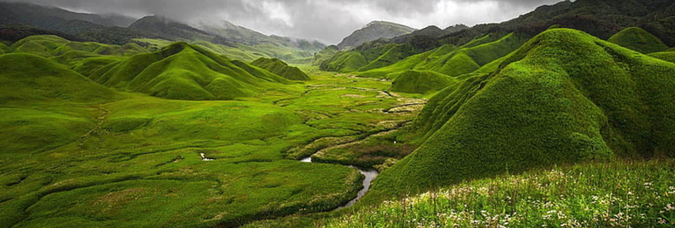 nagaland