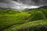 nagaland